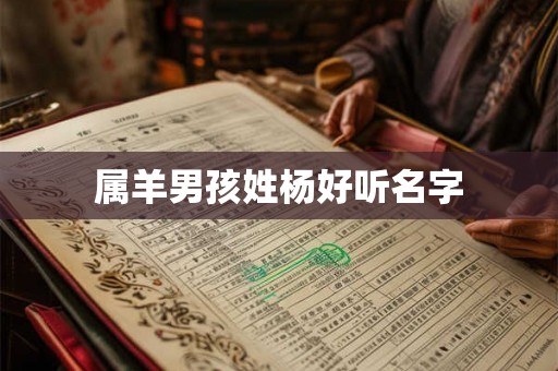 属羊男孩姓杨好听名字